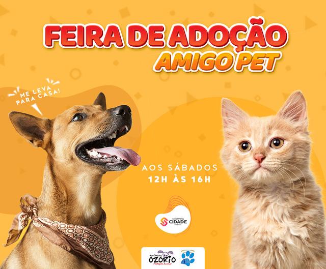 imagem_md
